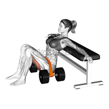 Resistance Band Hip Thrust