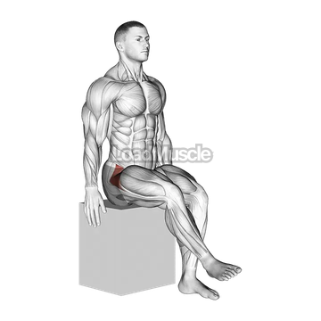 Hip - Medial Rotation (Internal Rotation)