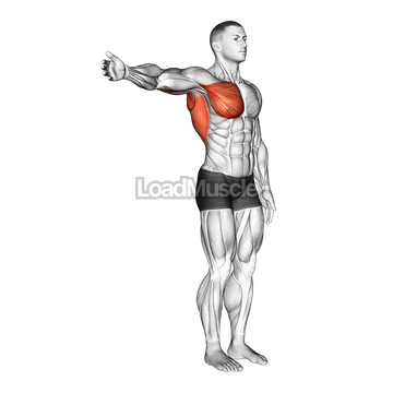 Shoulder - Adduction