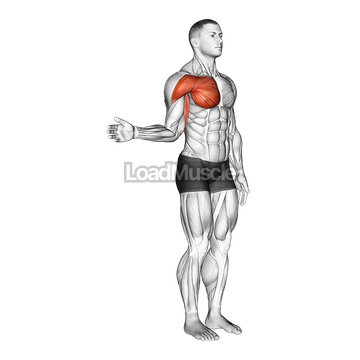 Shoulder - Medial Rotation (Internal Rotation)