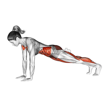 Plank Jump