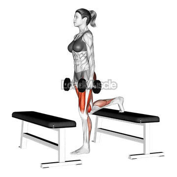 Dumbbell Step up Lunge
