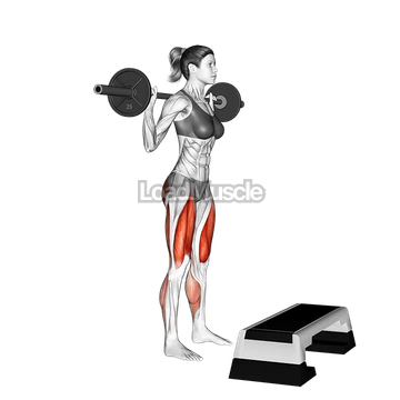 Barbell Squat Jump Step Rear Lunge