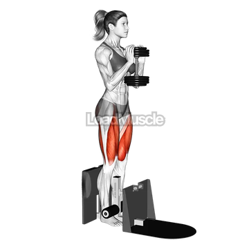 Dumbbell Supported Squat