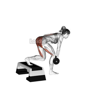 Dumbbell Single Leg Deadlift with Stepbox Support