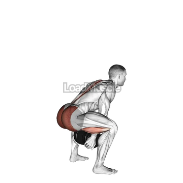 Dumbbell Sumo Pull Through