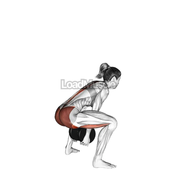 Dumbbell Sumo Pull Through