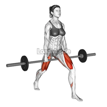 Barbell Split Squat