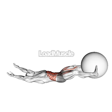 V-Up Down (with Stability ball)