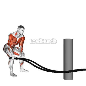 Battling Ropes Side Raise