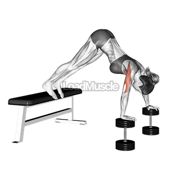 Pike Push-up (on Bench)