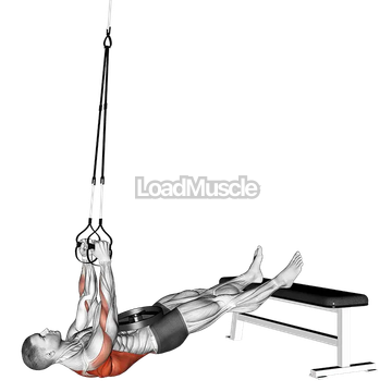 Suspender Weighted Inverted Row