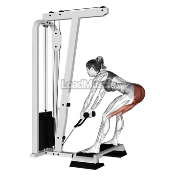 Cable Stiff Leg Deadlift from Stepbox