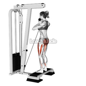 Cable Rear Lunge from Stepbox