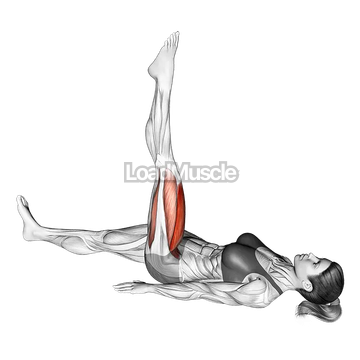 Lying Single Leg Circle