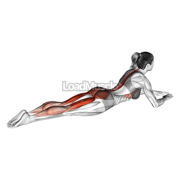 Lying Single Leg Kick