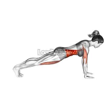 Leg Pull Front Supported