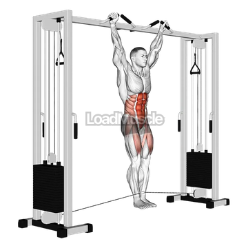 Cable Hanging Leg Raise