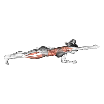 Front Plank with Arm Lift