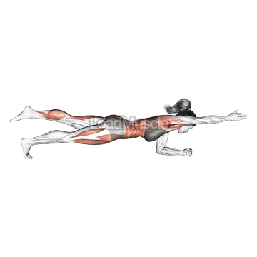 Front Plank with Arm and Leg Lift