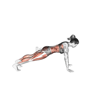 Front Plank with Arm and Leg Lift (push up position)