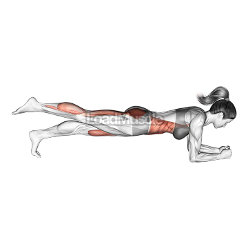 Front Plank with Leg Lift