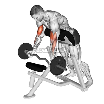 EZ Barbell Standing Preacher Curl