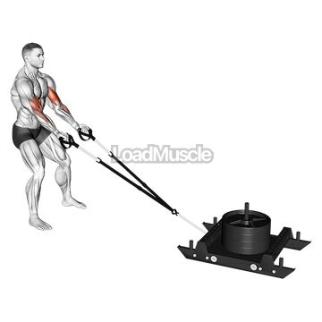 Power Sled Biceps Curl