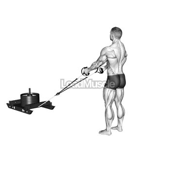 Power Sled Rear Lunge