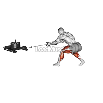 Power Sled Rear Drag