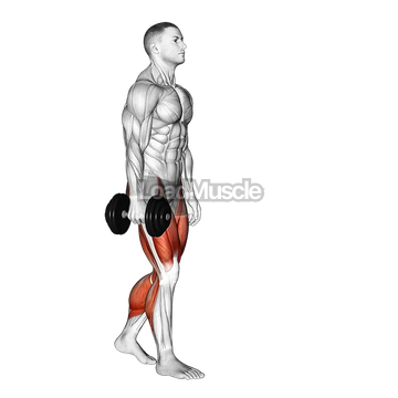 Dumbbell Suitcase Carry