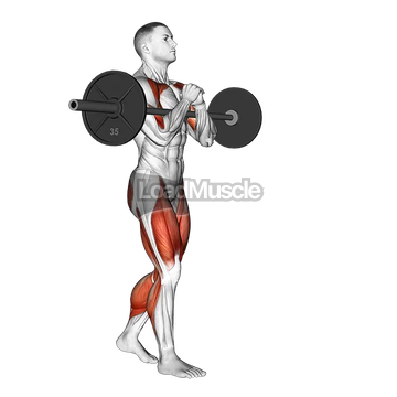 Barbell Zercher Carry