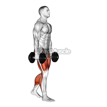 Dumbbell Farmers Carry