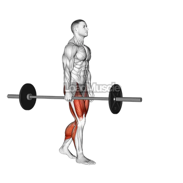 Barbell Suitcase Carry