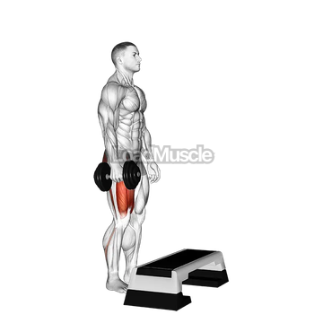 Dumbbell Single Leg Step Up