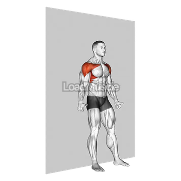 Shoulder Flexion Back to Wall