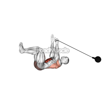 Band Upper Body Resistance Dead Bug