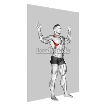 Scapular Slide Back to Wall