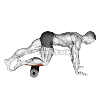 Roll Anterior Calf Foam Rolling