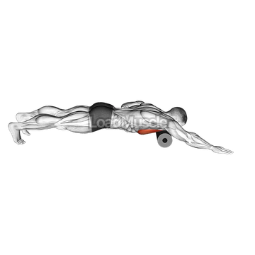 Roll Pec Foam Rolling