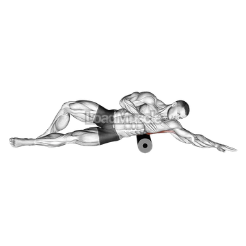 Roll Lat Foam Rolling