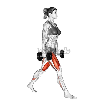 Dumbbell Split Squat