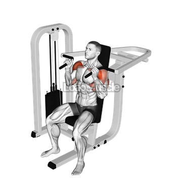 Lever Seated Hammer Grip Shoulder Press