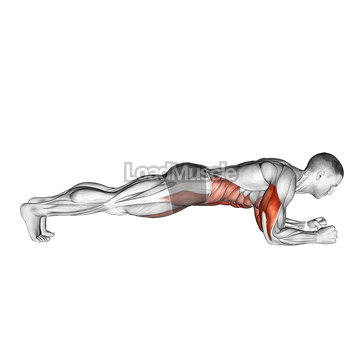 Elbow Up and Down Dynamic Plank