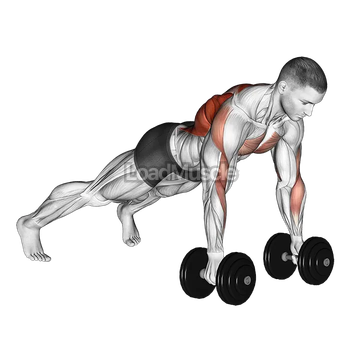 Dumbbell Renegade Row