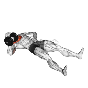 Dumbbell Alternating Floor Press