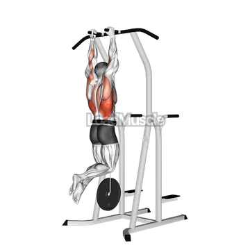 Weighted Hammer Grip Pull up on Dip Cage