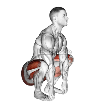 Squat mobility Complex