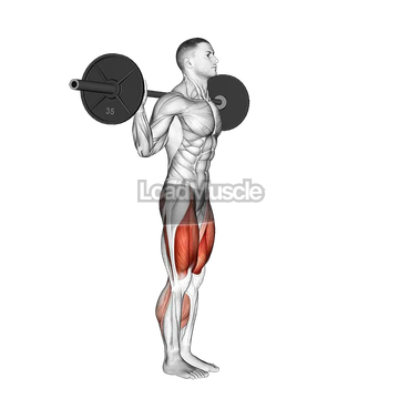 Barbell Walk Calves Activation