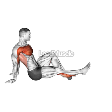 Rollball Seated Single Leg Shoulder Flexor Depresor Retractor